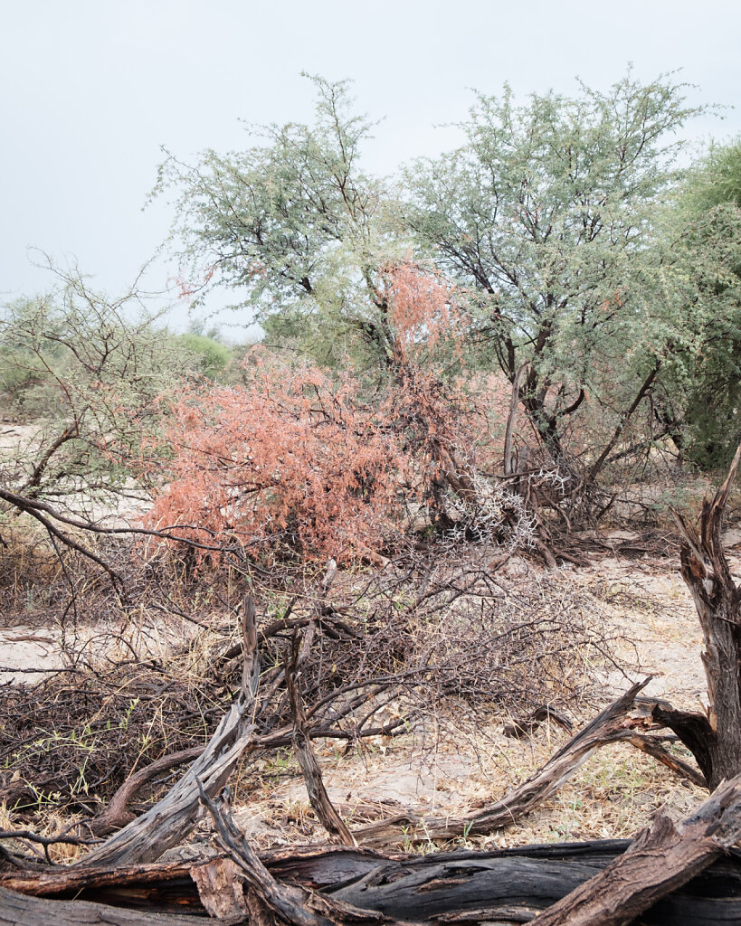 Botswana-6.jpg