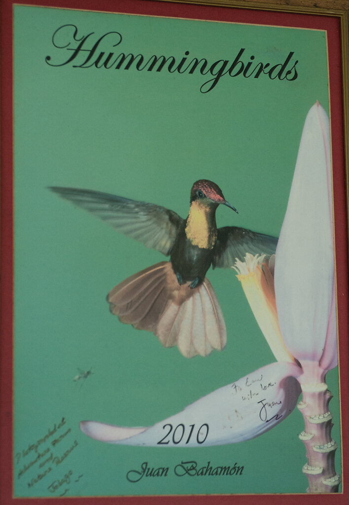 STAHR-Hummingbirds.jpg